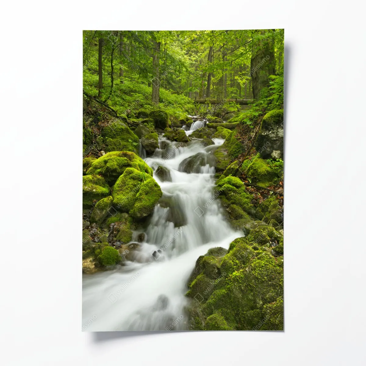Poster moosiger wasserfall – Wallnifity®