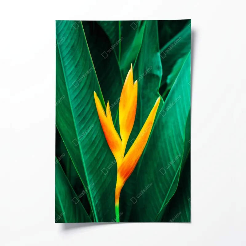 Poster sonnige gasse mit meerblick und balkonen – Wallnifity®