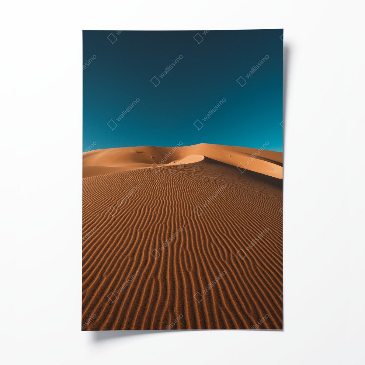 Poster goldene sanddünen unter tiefblauem himmel – Wallnifity®