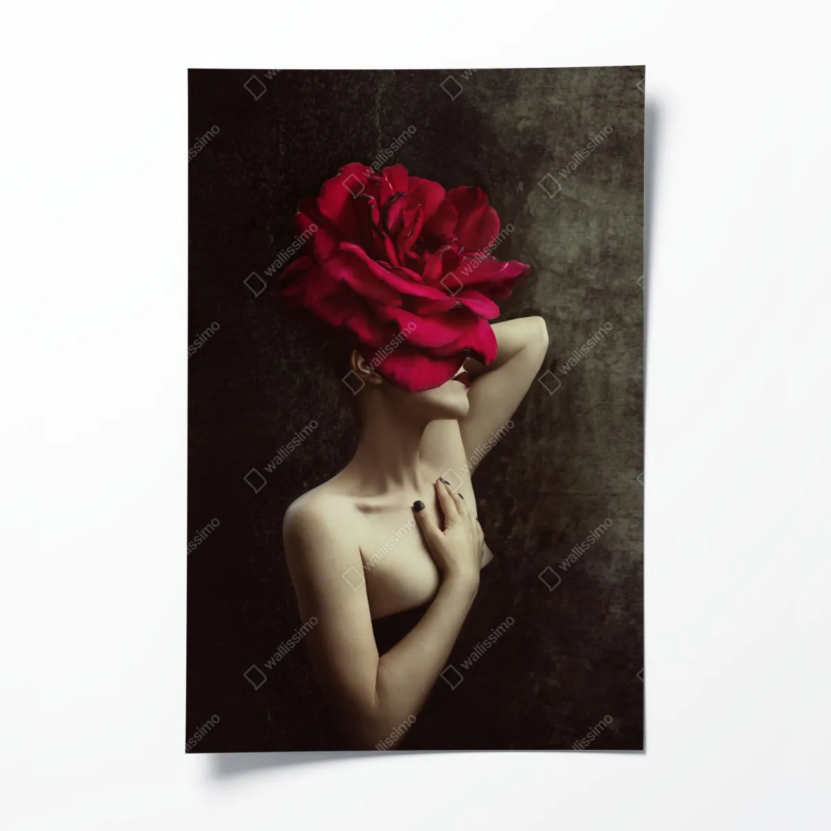 Poster frau mit rosenkopf surreales blumenporträt – Wallnifity®