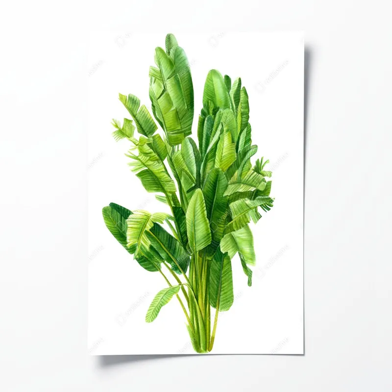 Poster ruhige winterliche fjordlandschaft in Reine, Lofoten – Wallnifity®