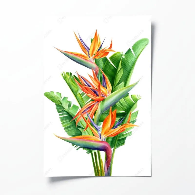 Poster zartes korallenfarbenes blumenmuster – Wallnifity®