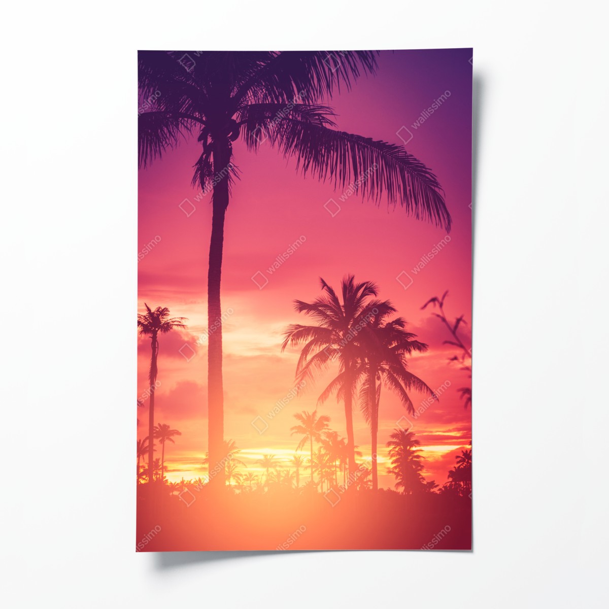 Poster tropischer sonnenuntergang mit palmen – Wallnifity®