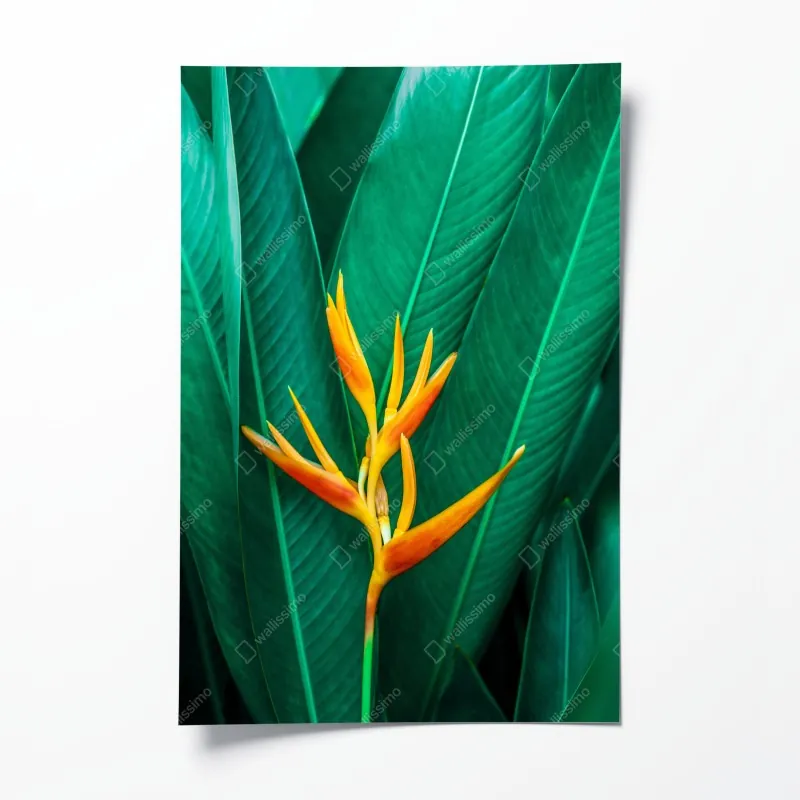 Poster leuchtendes verlauf-wellenmuster – Wallnifity®