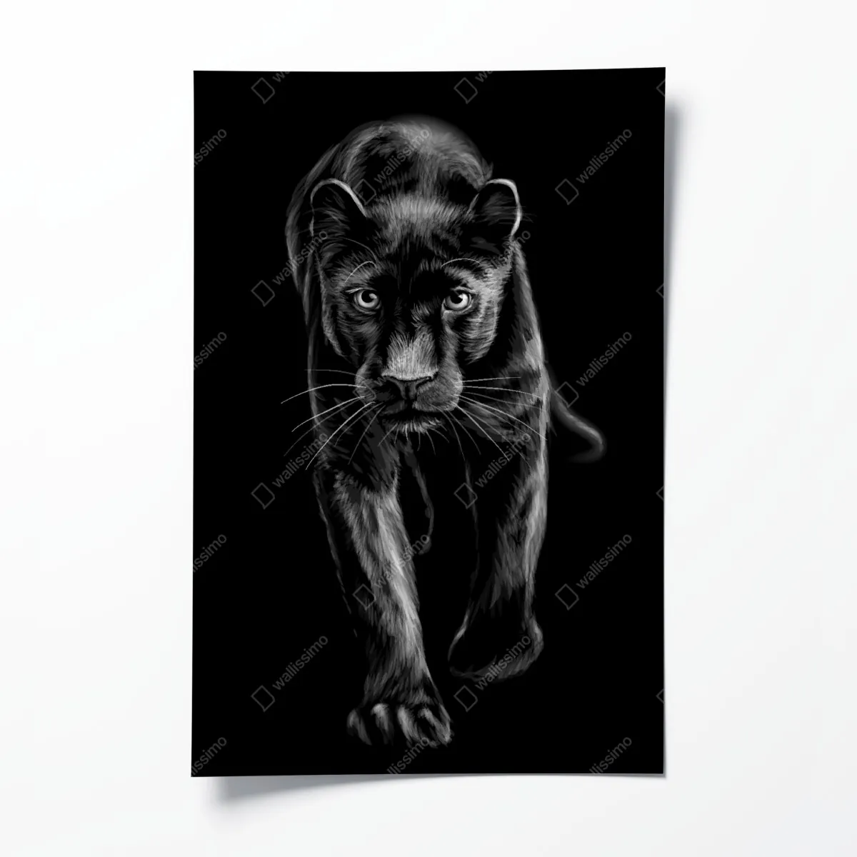 Poster schreitender schwarzer panther illustration – Wallnifity®