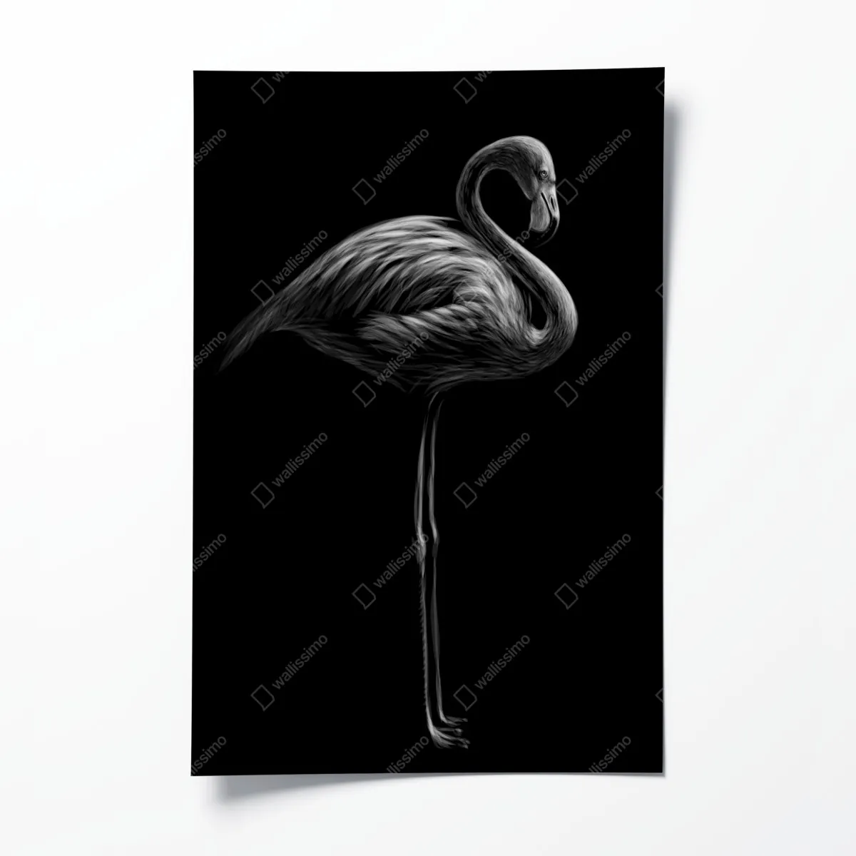 Poster graustufen-flamingo-silhouette – Wallnifity®