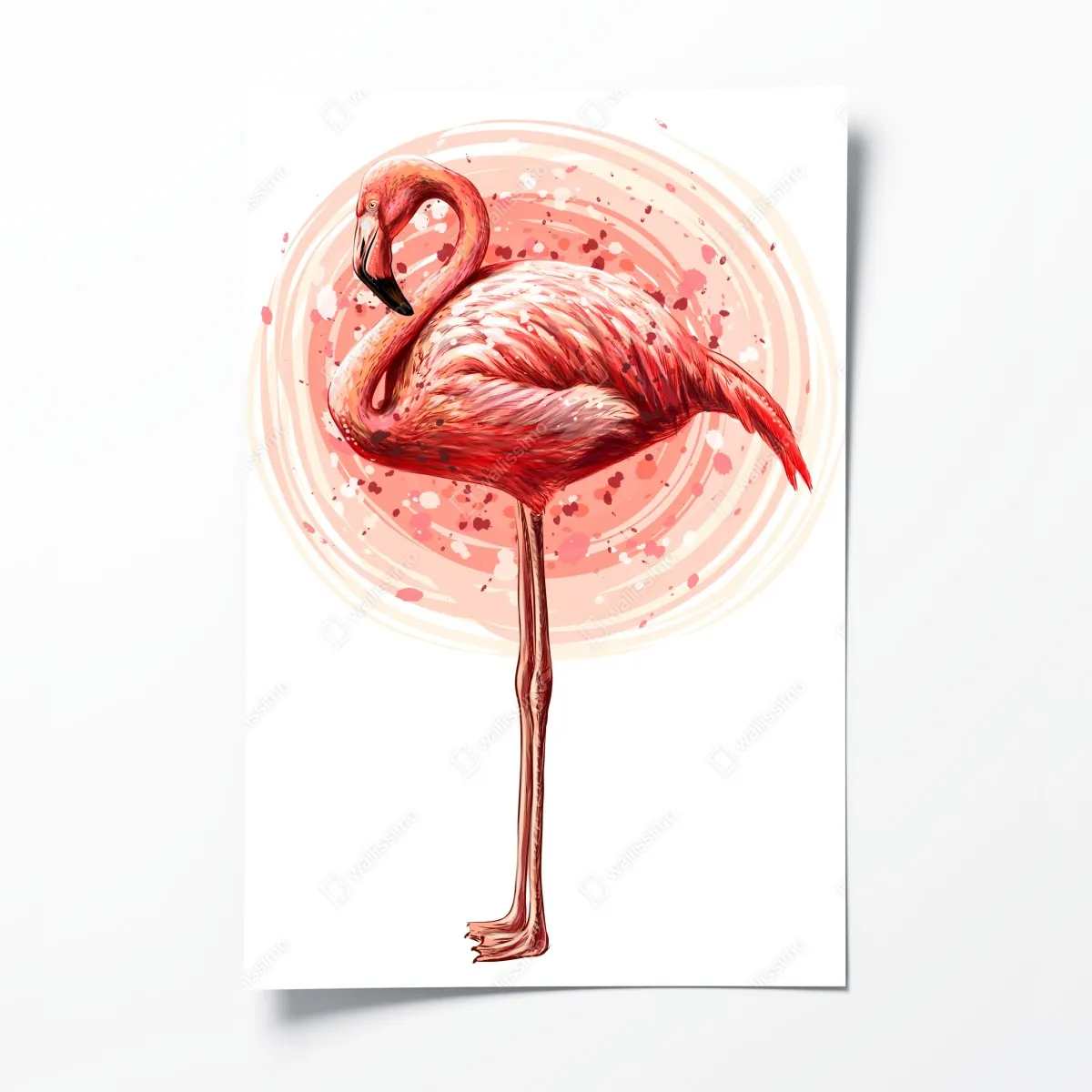Poster zarte rosa flamingo aquarell-illustration – Wallnifity®