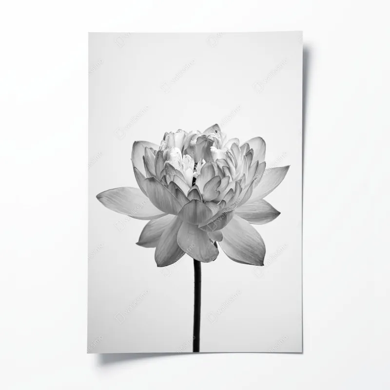 Poster roter fuchs in nebliger landschaft – Wallnifity®