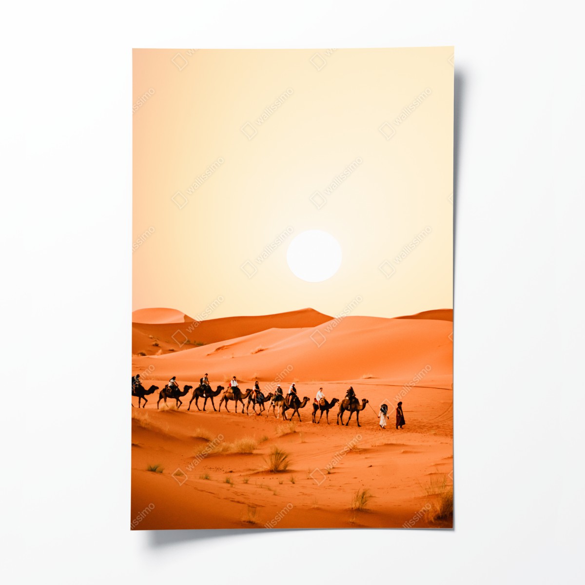 Poster karawane von kamelen in der wüste bei sonnenuntergang – Wallnifity®