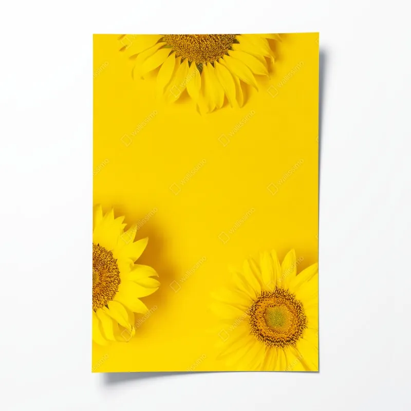 Poster dramatischer schwarzweiß-steg in stürmischer see – Wallnifity®