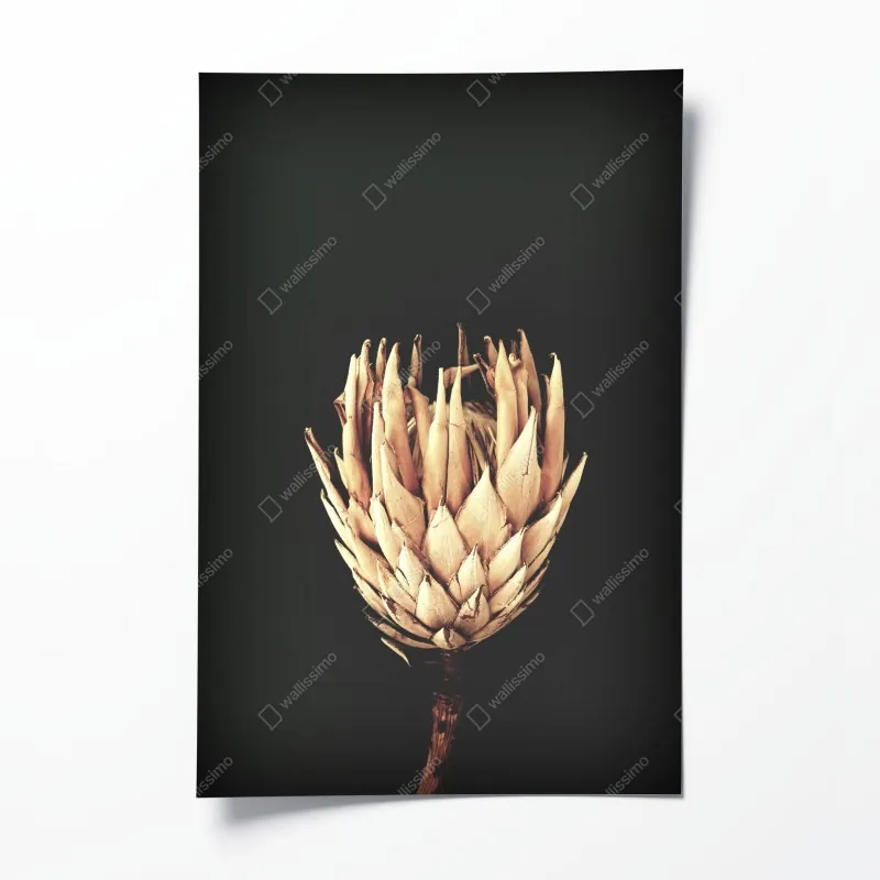 Poster Kansas City skyline bei dämmerung – Wallnifity®