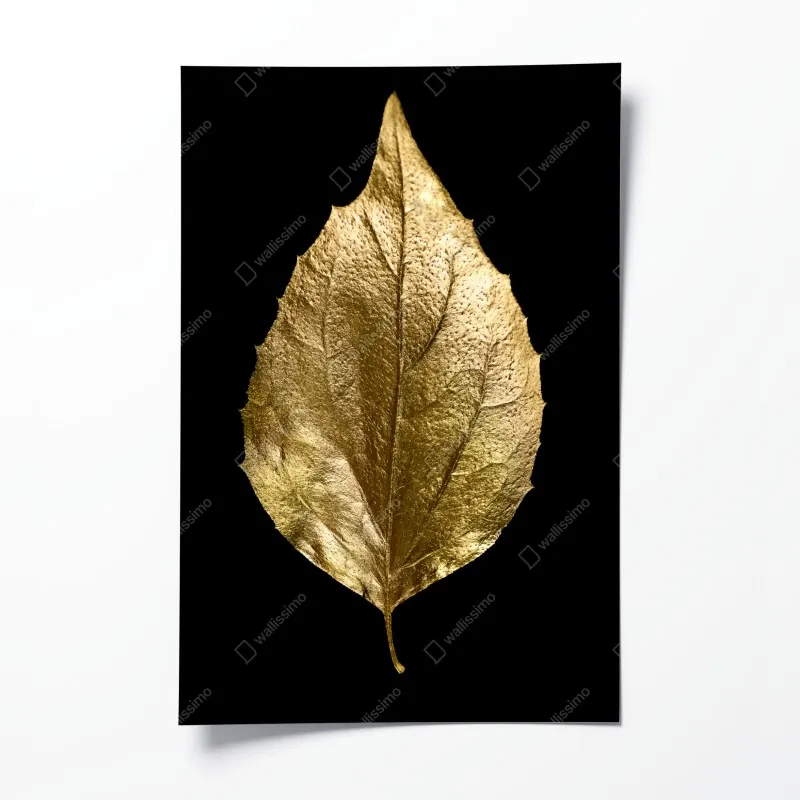 Poster zartes magnolienmuster in sanftem rosa – Wallnifity®