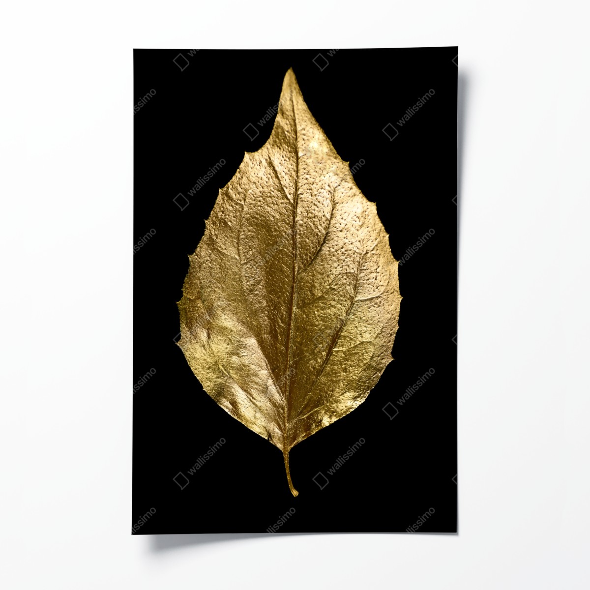 Poster goldenes blatt auf schwarzem hintergrund – Wallnifity®