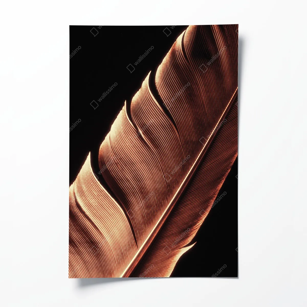 Poster goldene feder makro vor schwarzem hintergrund – Wallnifity®