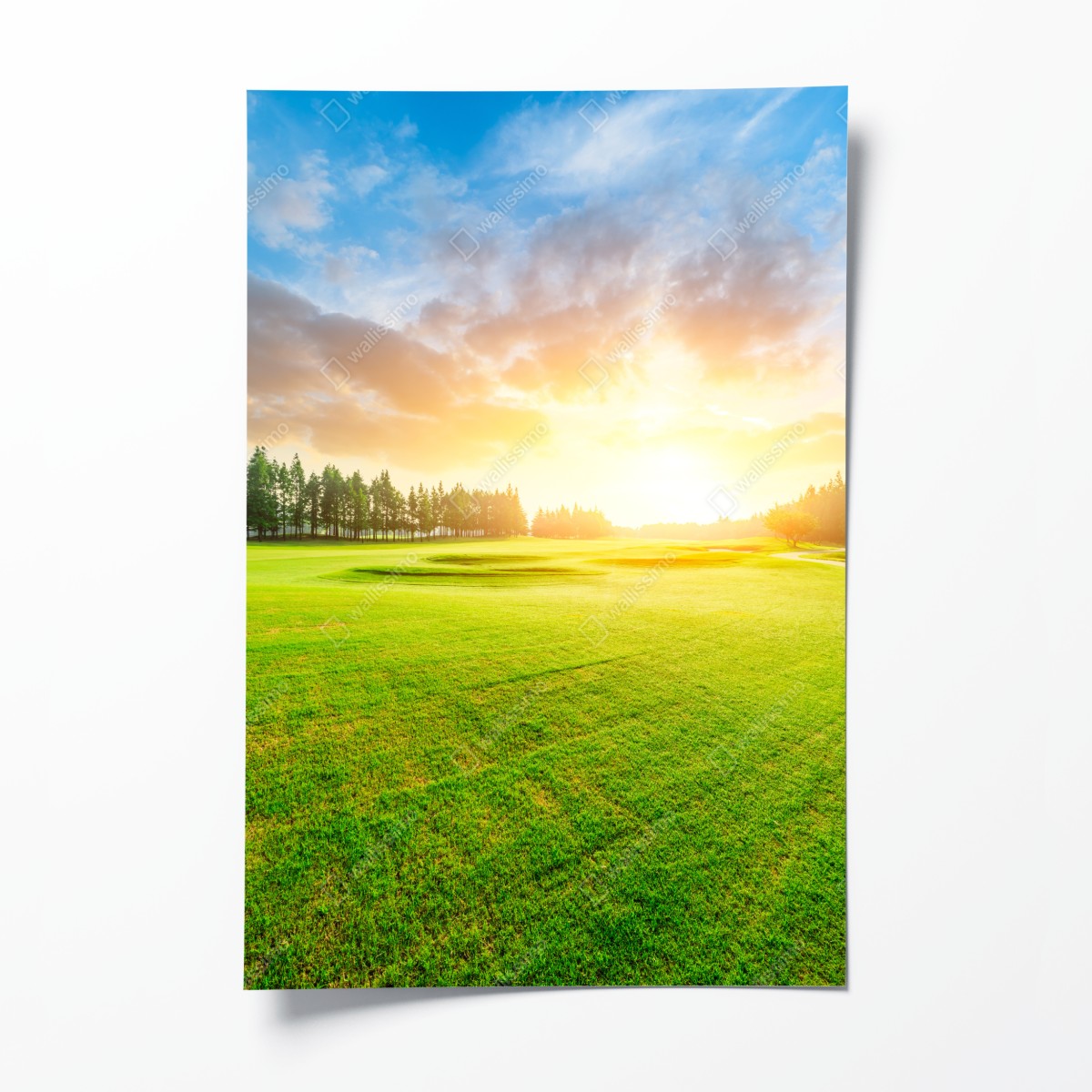Poster sonnenbeschienene wiese und wald bei sonnenaufgang – Wallnifity®