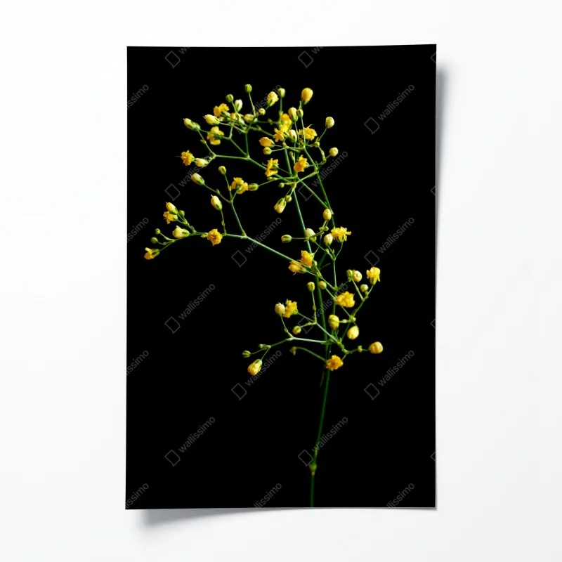 Poster monochrome gitarre nahaufnahme – Wallnifity®