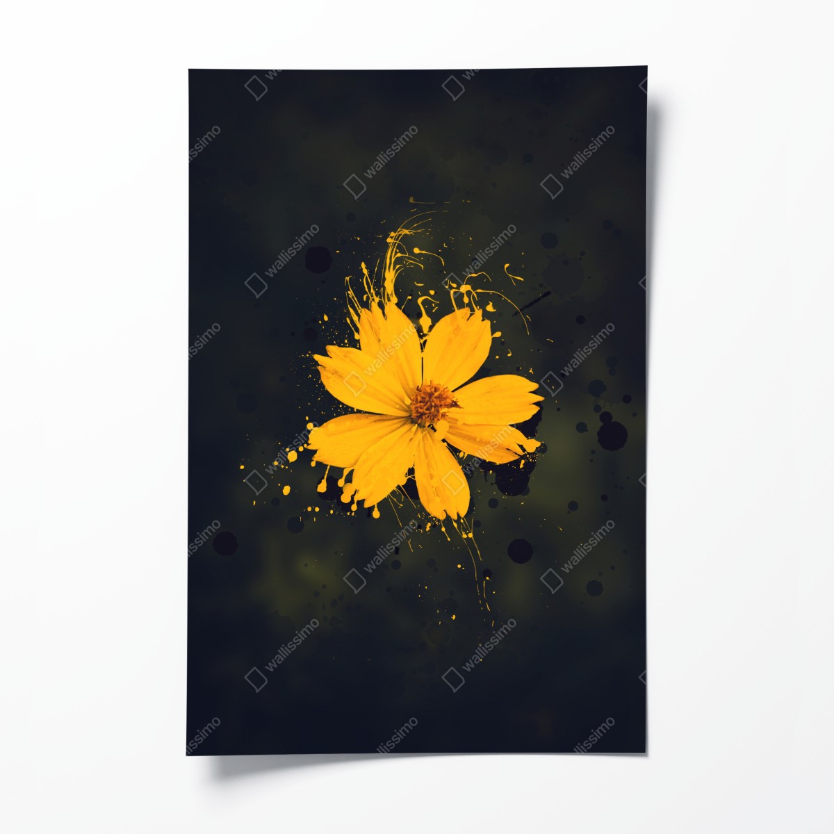 Poster leuchtende gelbe blüte auf dunklem hintergrund – Wallnifity®