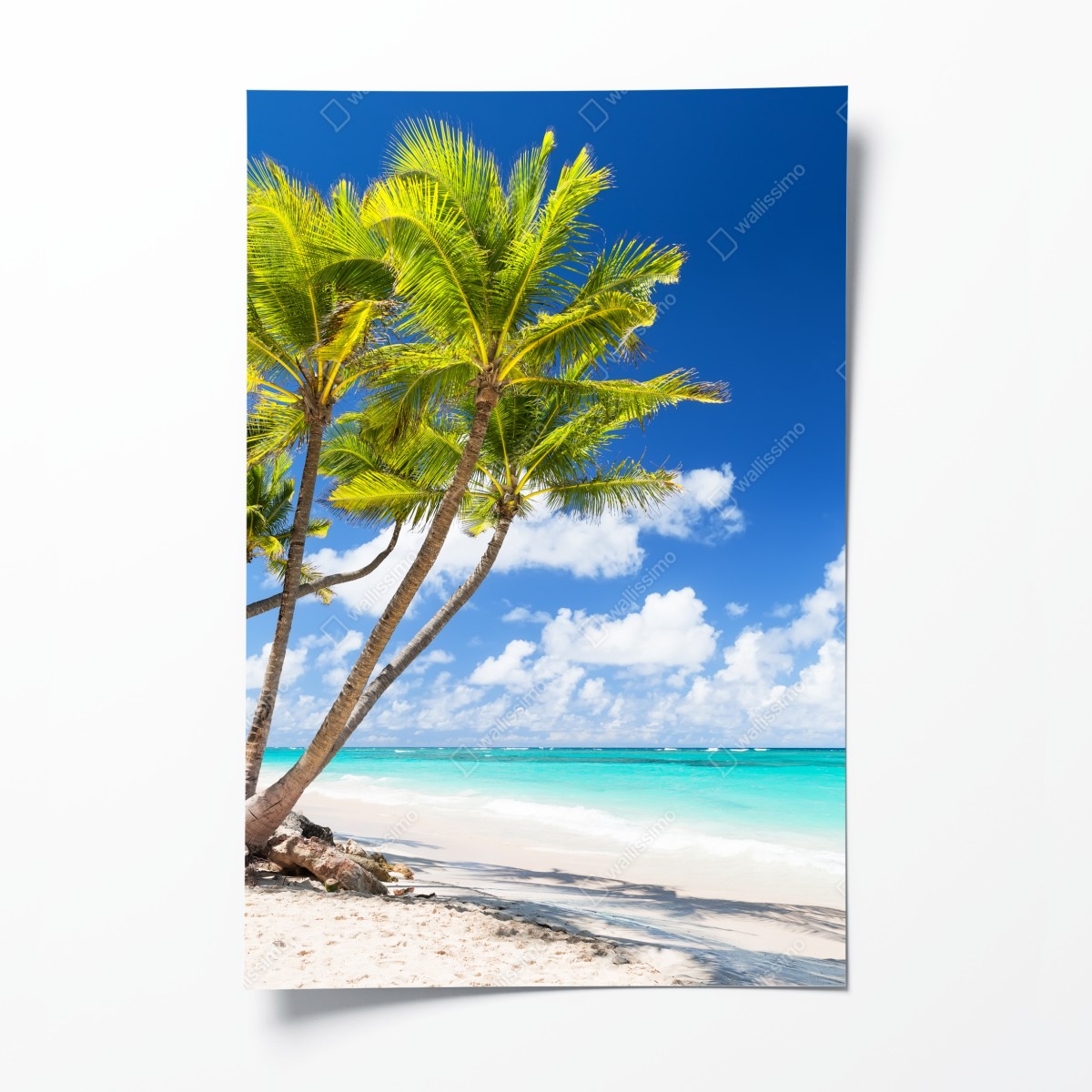 Poster tropischer palmstrand in Punta Cana – Wallnifity®
