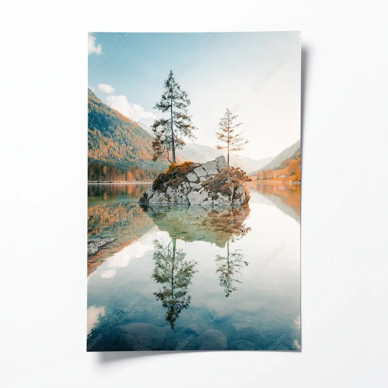 Poster sonnenuntergang mit schwan auf stillem see – Wallnifity®