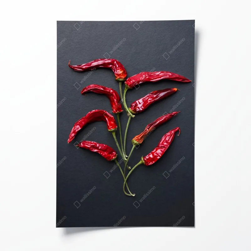 Poster eukalyptus aquarell botanisches muster auf dunklem hintergrund – Wallnifity®