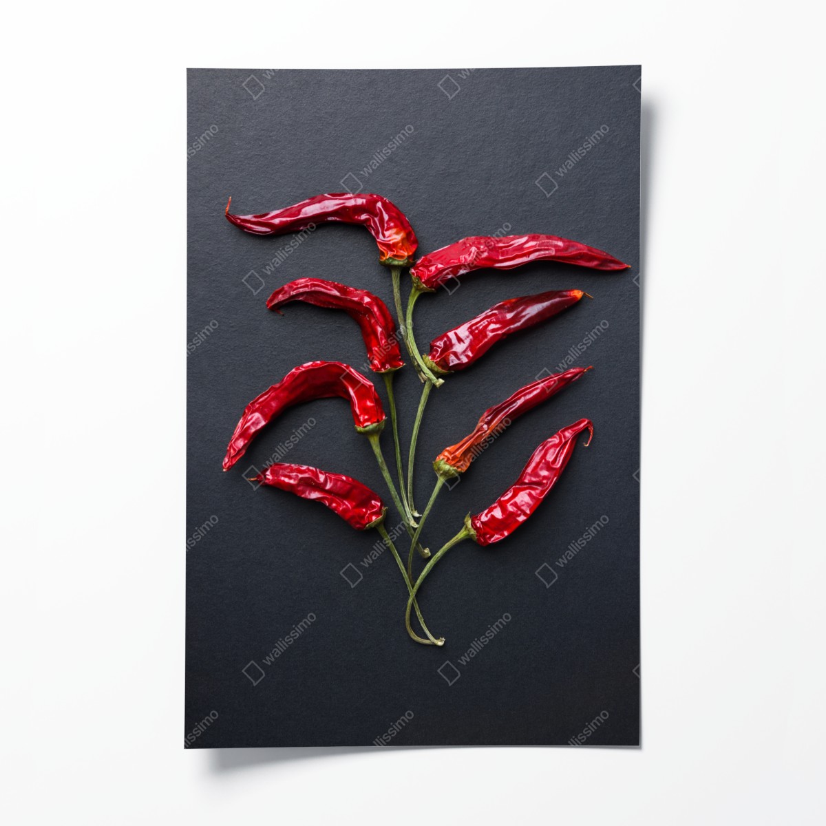 Poster kulinarische grafik mit roten chilischoten – Wallnifity®