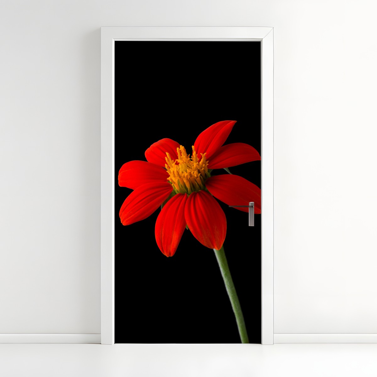 Türaufkleber leuchtende mexikanische sonnenblume auf schwarzem hintergrund – Wallnifity®