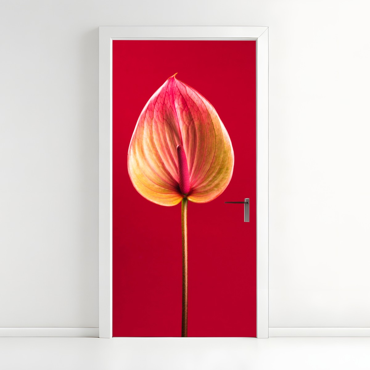 Türaufkleber elegantes anthurium vor rotem hintergrund – Wallnifity®