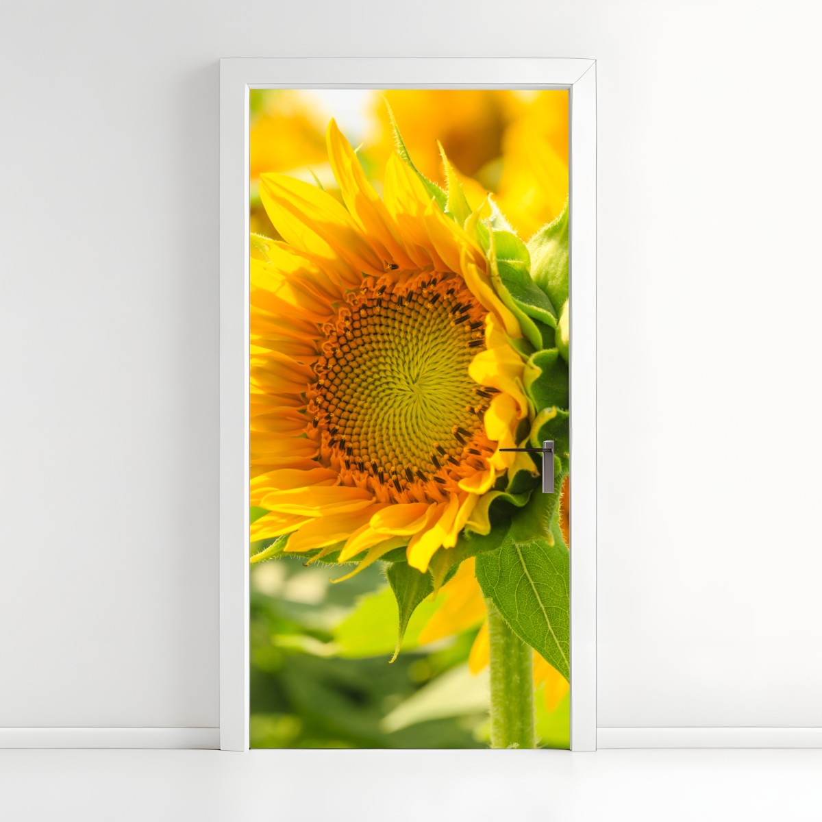 Türaufkleber sonnenblume nahaufnahme – Wallnifity®