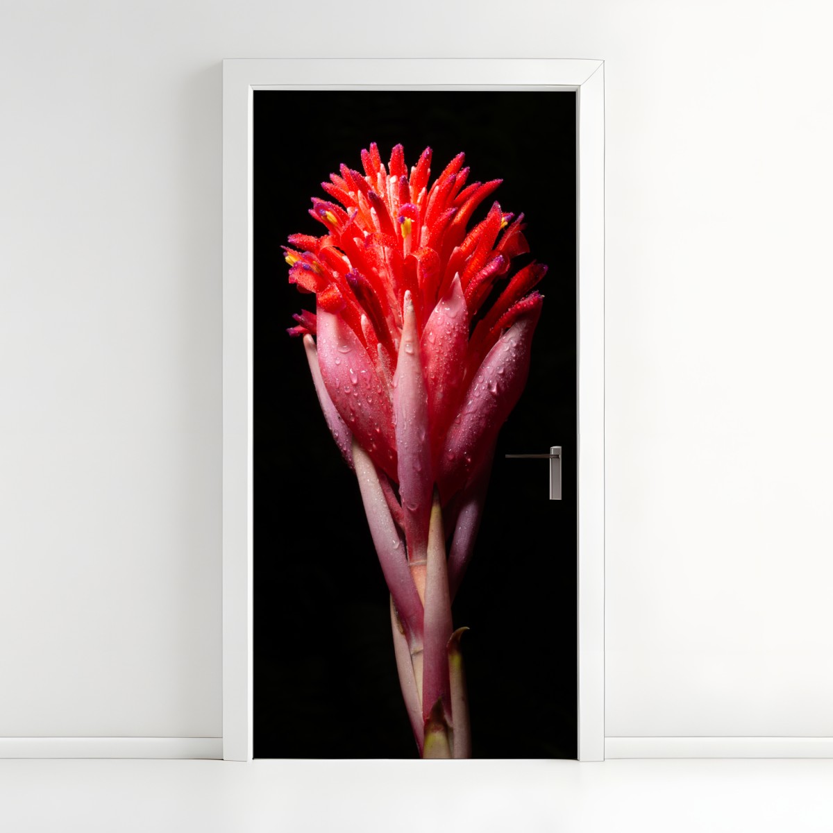 Türaufkleber leuchtende rosa blüte vor schwarzem hintergrund – Wallnifity®