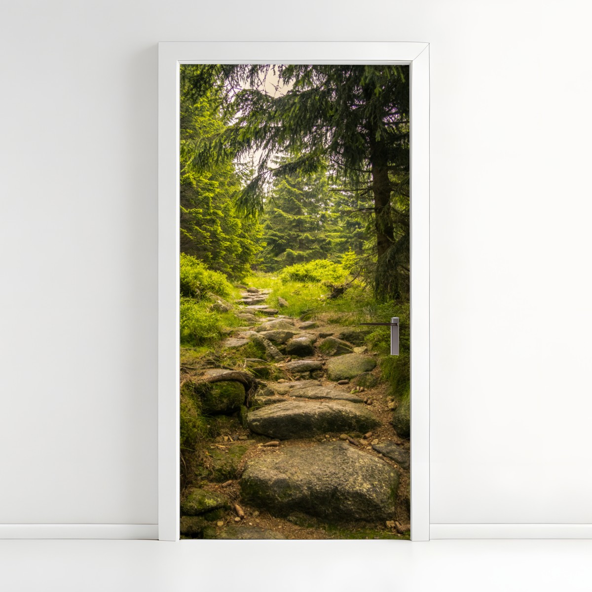Türaufkleber ruhiger waldweg durch nadelwald – Wallnifity®