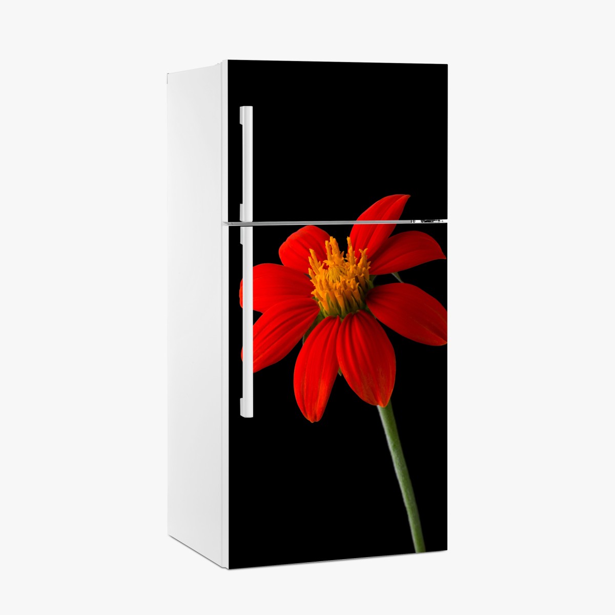 Kühlschrankaufkleber leuchtende mexikanische sonnenblume auf schwarzem hintergrund – Wallnifity®