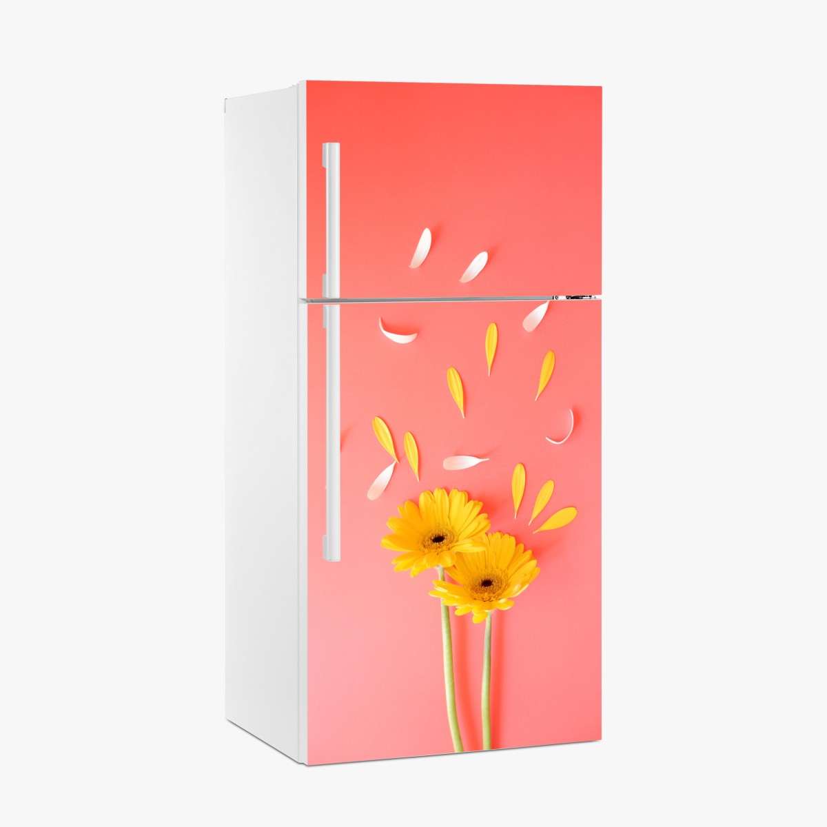 Kühlschrankaufkleber sonnige gelbe gerbera auf korallfarbenem hintergrund – Wallnifity®