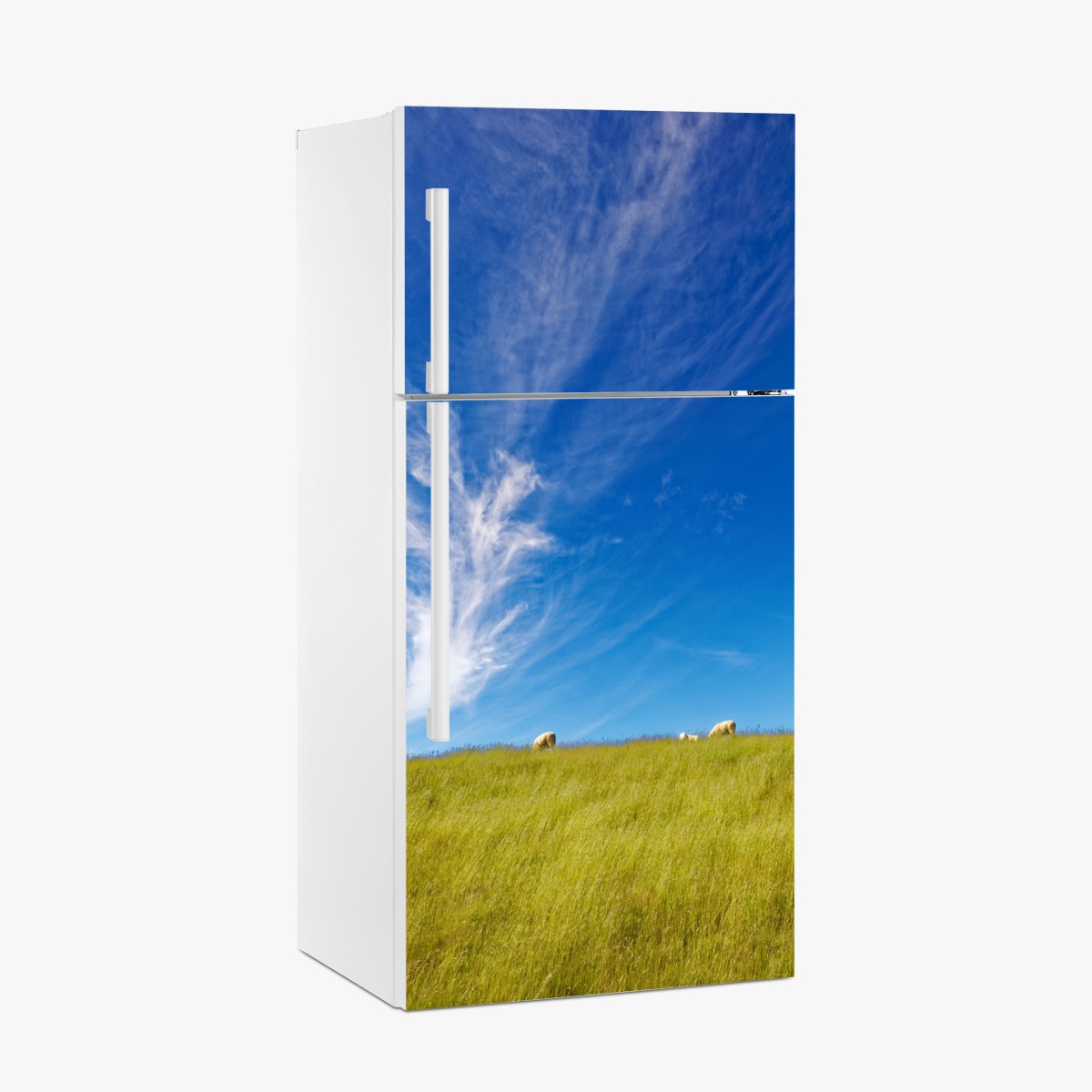 Kühlschrankaufkleber ruhige wiese unter blauem himmel – Wallnifity®