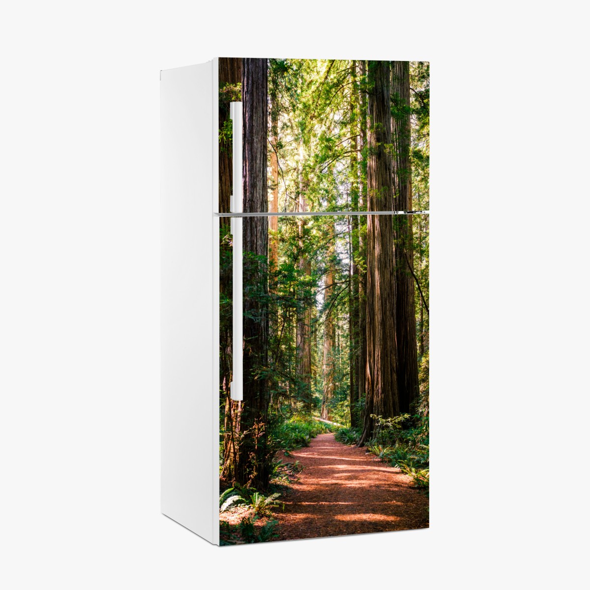 Kühlschrankaufkleber majestätischer weg im sekwoienwald – Wallnifity®