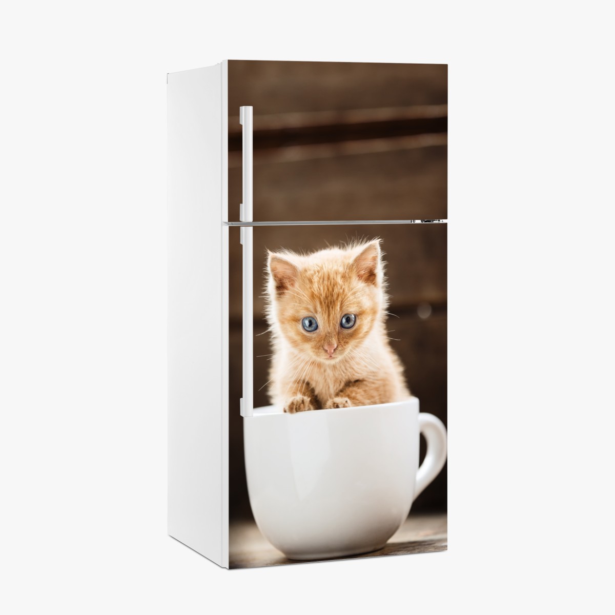 Kühlschrankaufkleber rötliches kätzchen in einer teetasse – Wallnifity®