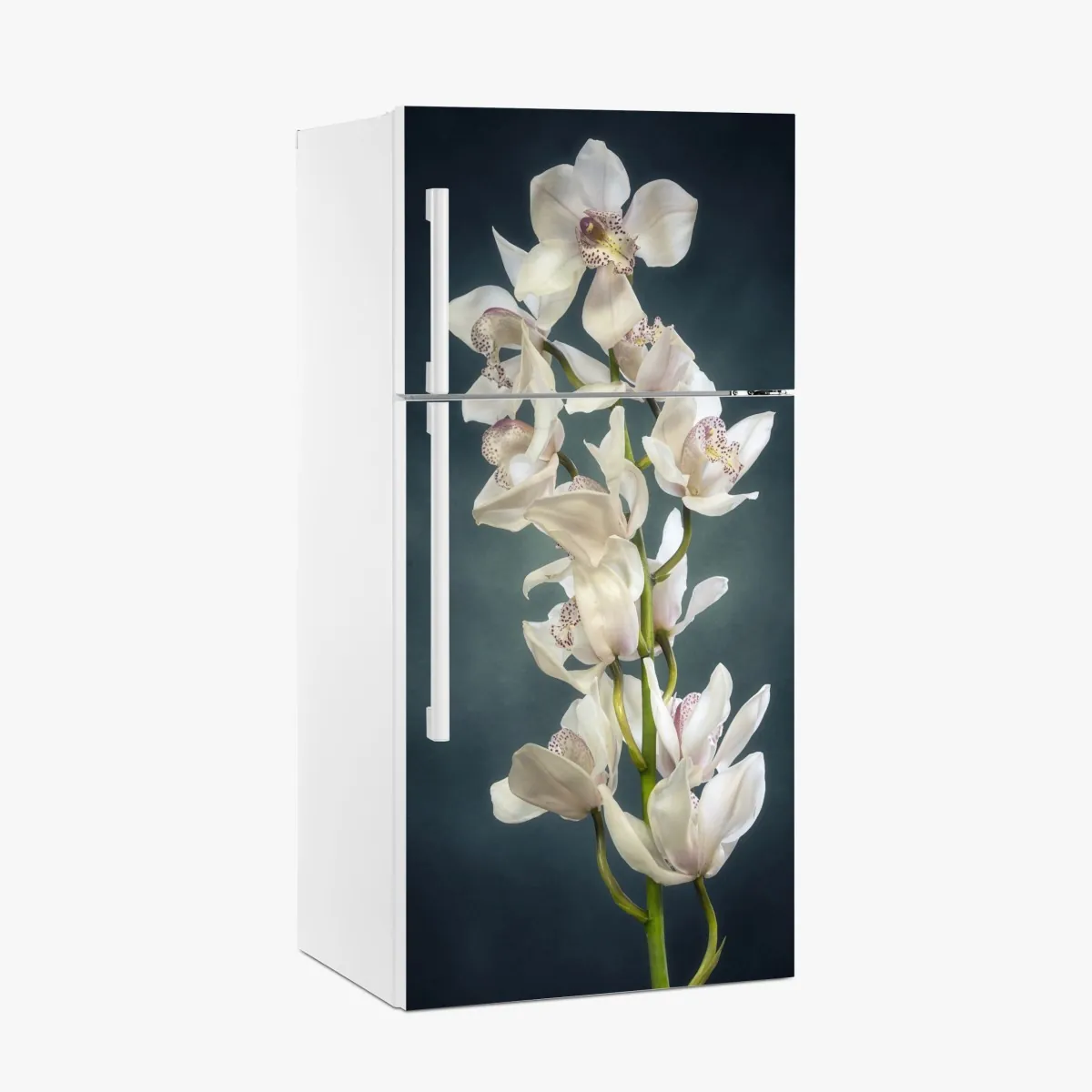 Kühlschrankaufkleber zarte weiße orchideen vor gedämpftem hintergrund – Wallnifity®