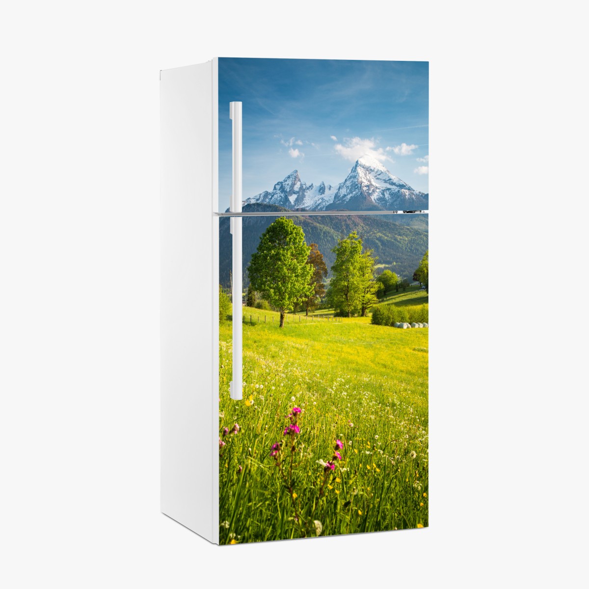 Kühlschrankaufkleber alpine frühlingswiese unter schneebedeckten gipfeln – Wallnifity®