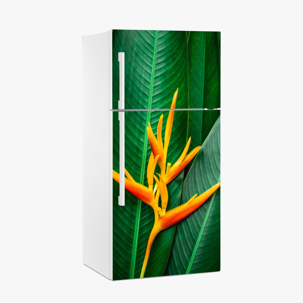 Kühlschrankaufkleber leuchtende heliconia vor grünen blättern – Wallnifity®