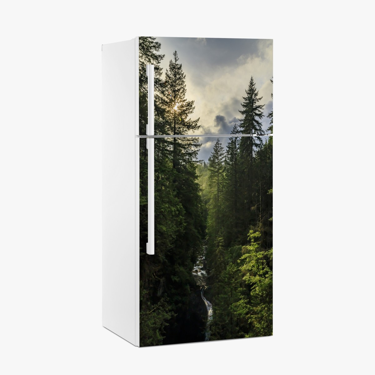 Kühlschrankaufkleber nebliger immergrüner wald mit wasserfall – Wallnifity®