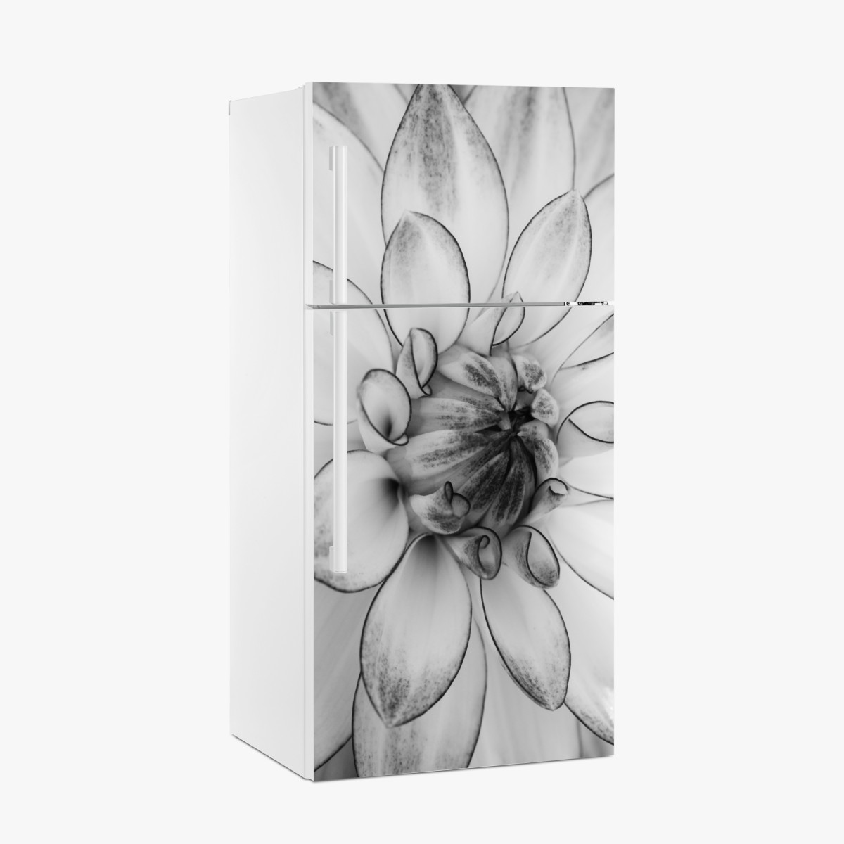 Kühlschrankaufkleber monochrome nahaufnahme einer dahlie – Wallnifity®