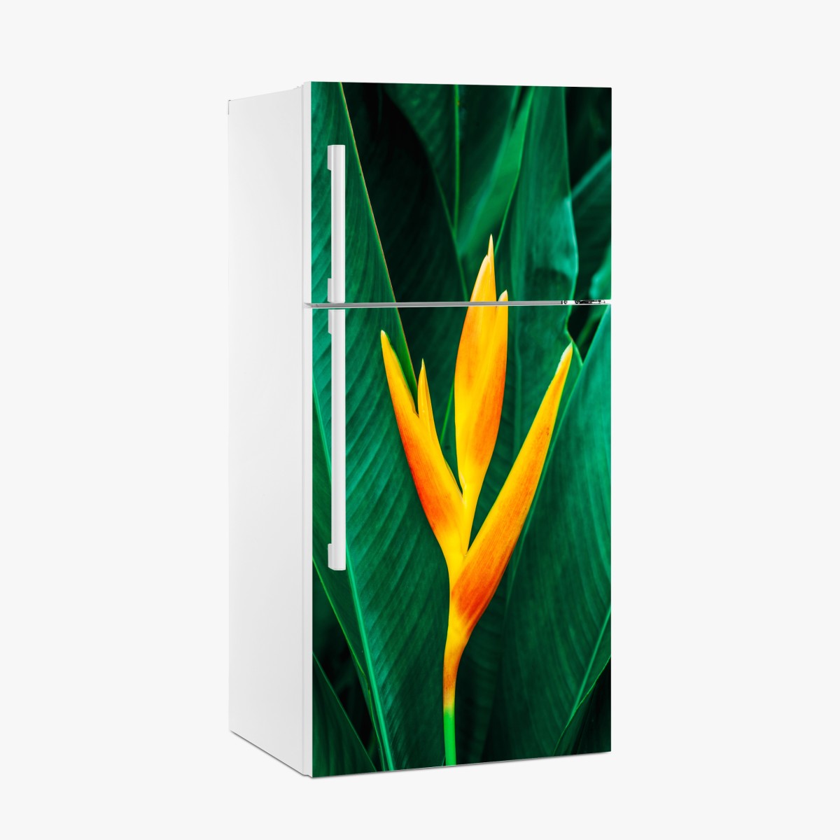 Kühlschrankaufkleber leuchtende tropische heliconia vor satten grünen blättern – Wallnifity®