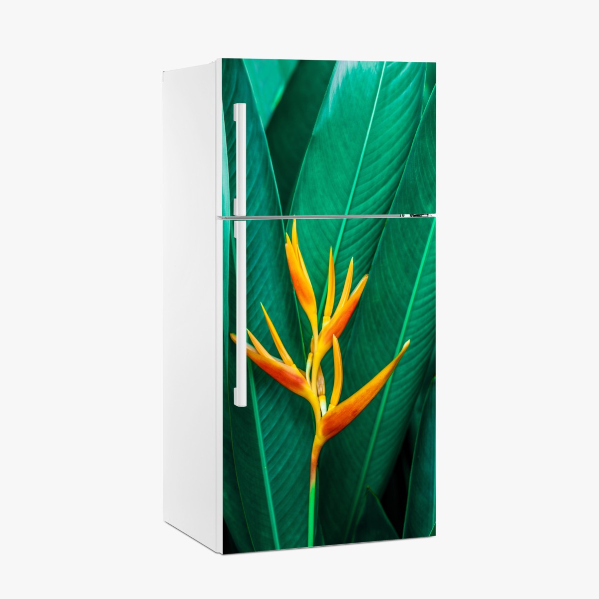 Kühlschrankaufkleber leuchtende tropische paradiesvogelblume auf grünen blättern – Wallnifity®
