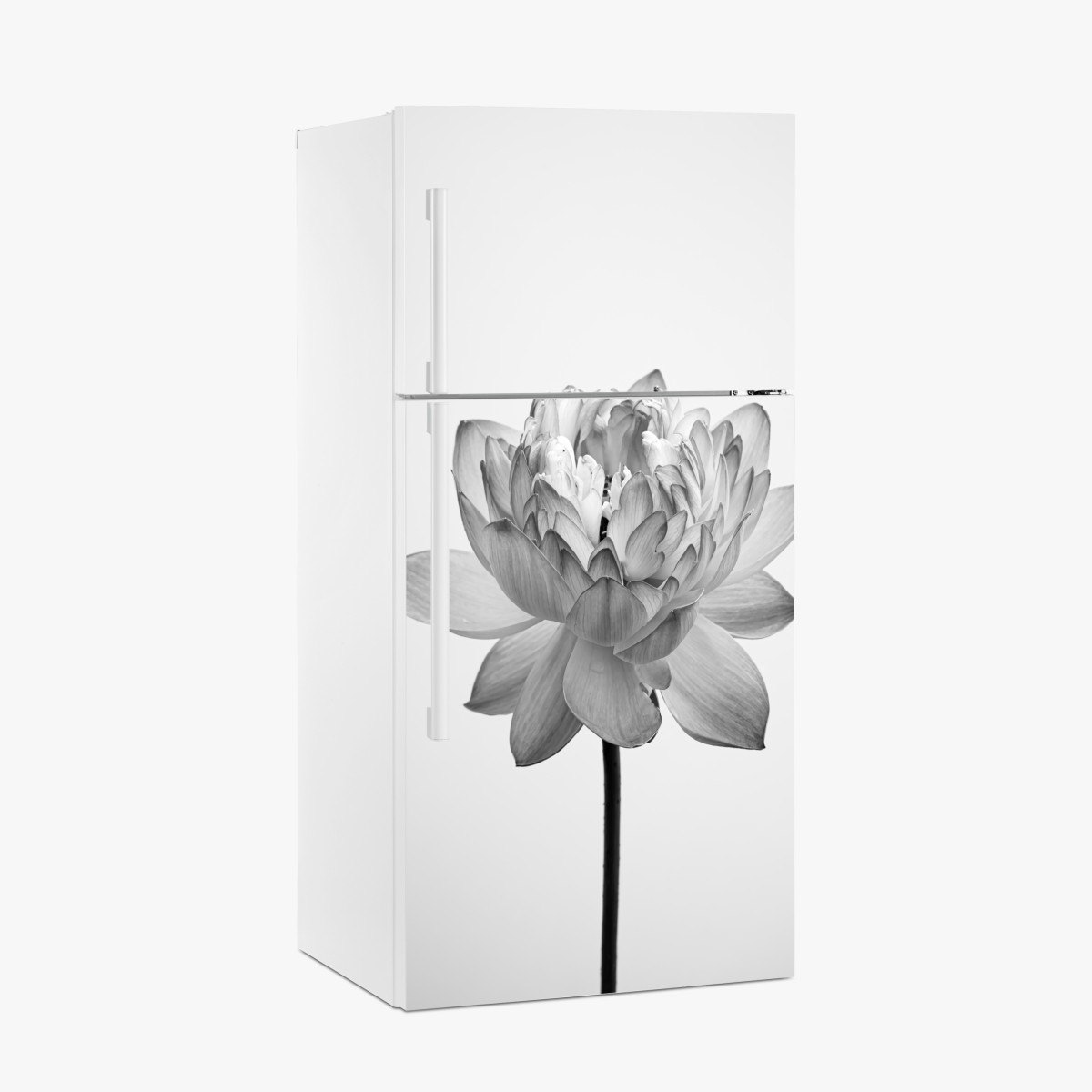 Kühlschrankaufkleber ruhevoller lotus in graustufen – Wallnifity®