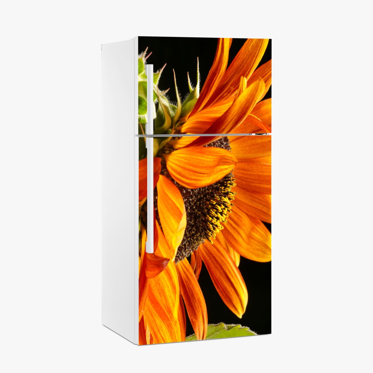 Kühlschrankaufkleber leuchtende orange sonnenblume nahaufnahme – Wallnifity®