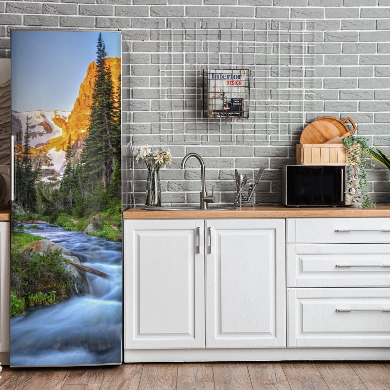 Kühlschrankaufkleber lebendige abstrakte pop-art-komposition – Wallnifity®
