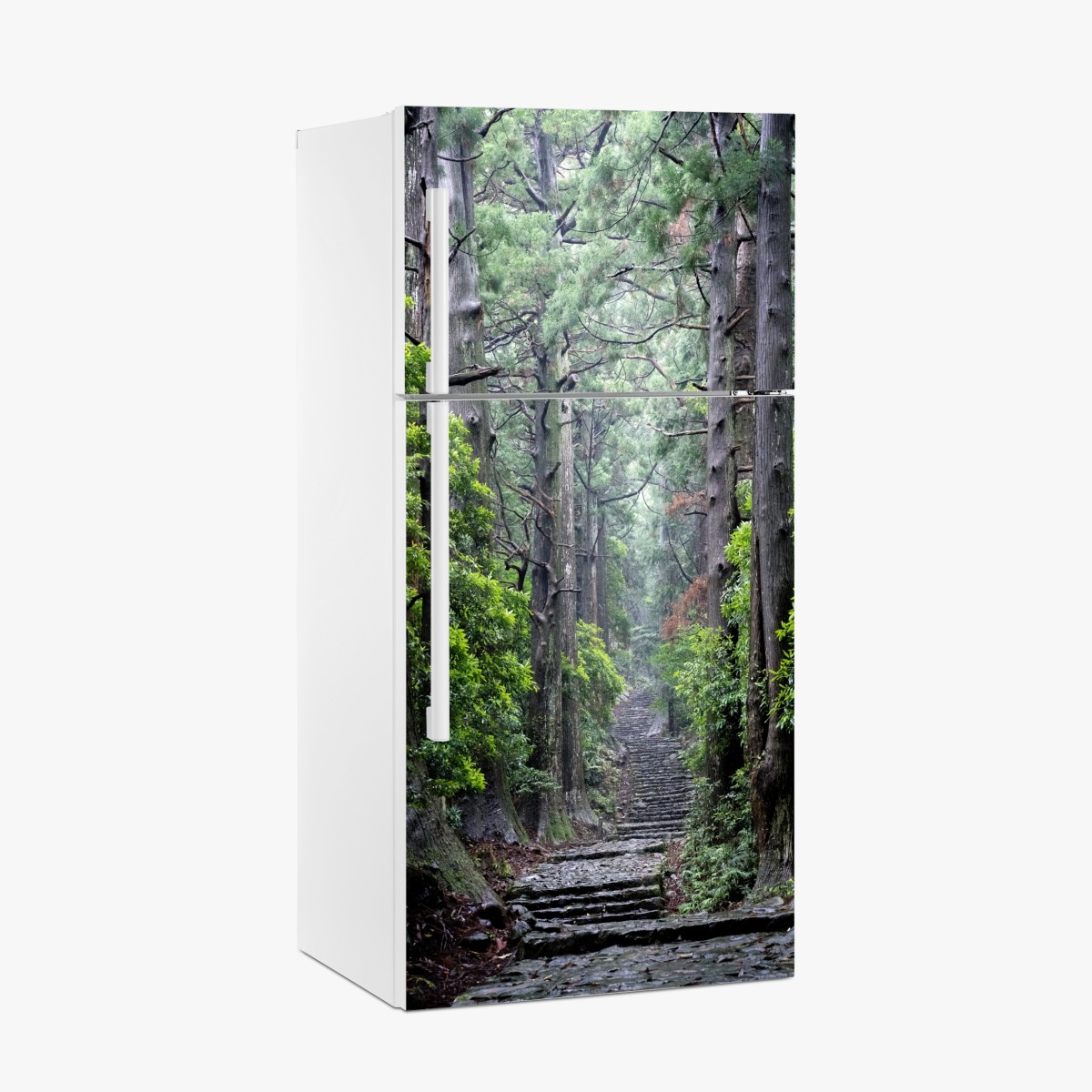 Kühlschrankaufkleber mystischer waldweg zwischen alten bäumen – Wallnifity®
