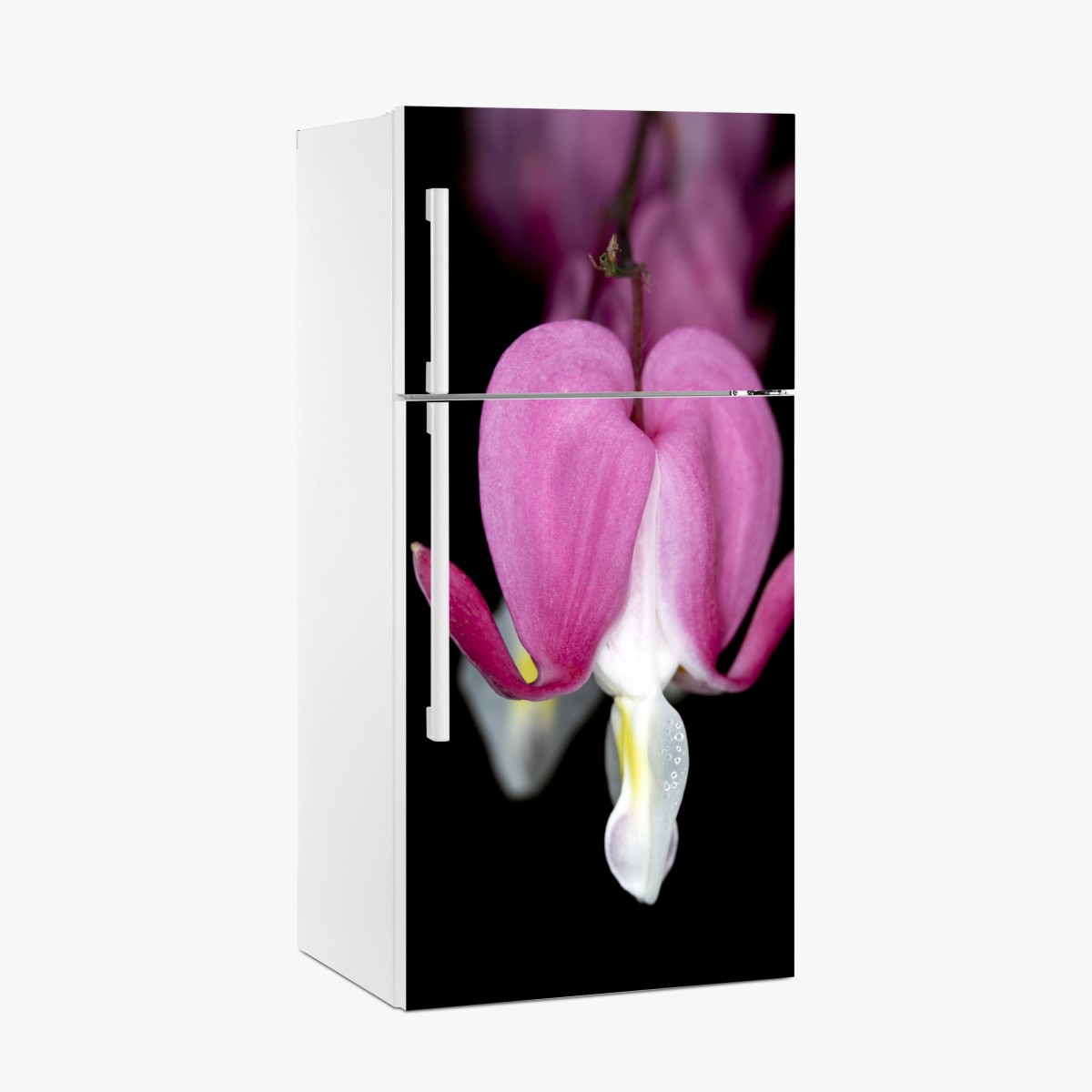 Kühlschrankaufkleber zartes rosa herzblüte nahaufnahme – Wallnifity®