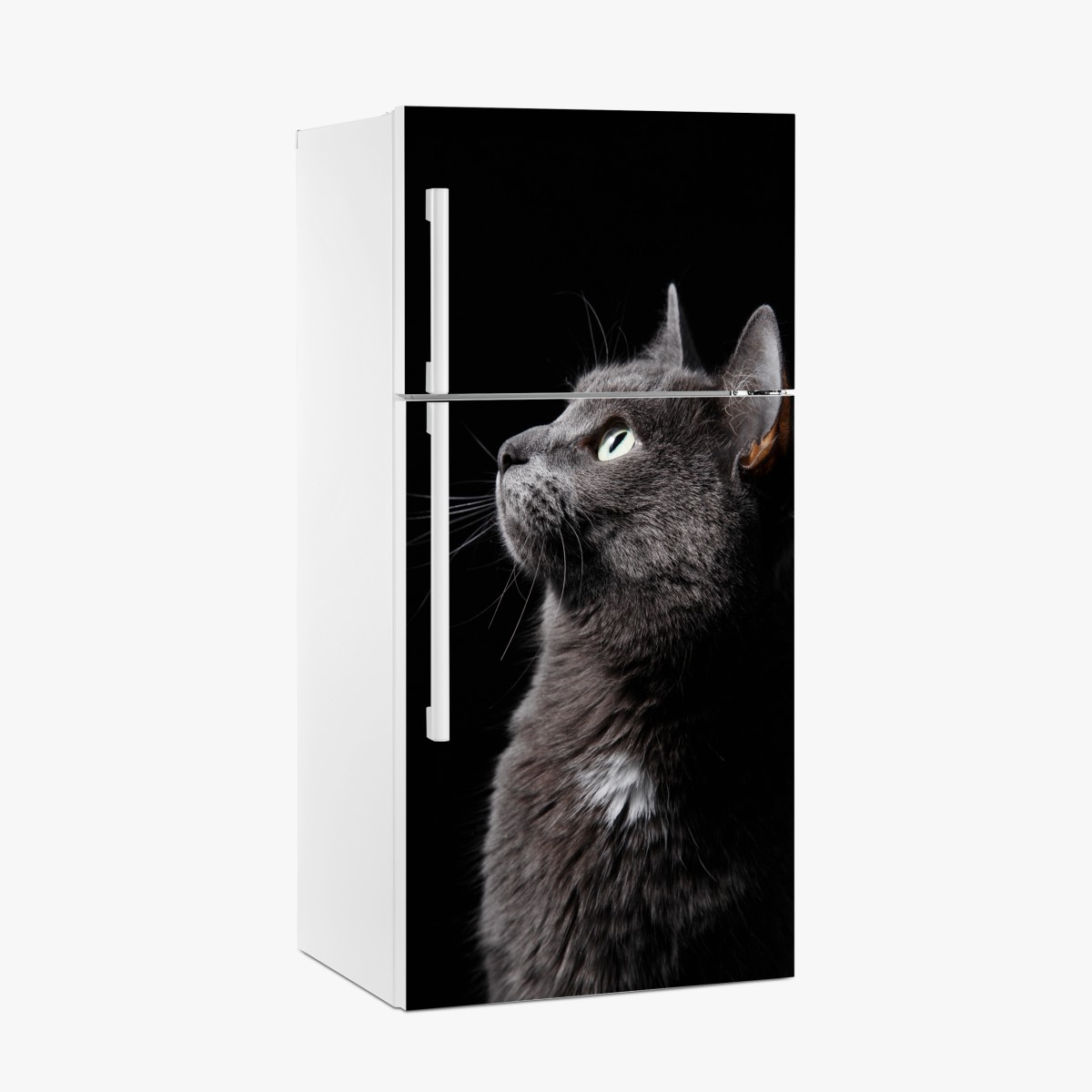 Kühlschrankaufkleber elegantes porträt einer grauen katze – Wallnifity®