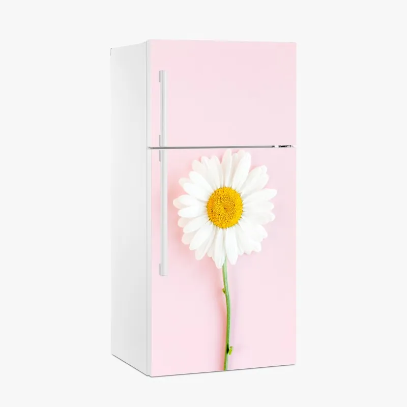 Kühlschrankaufkleber weißes gänseblümchen auf pastellrosa hintergrund