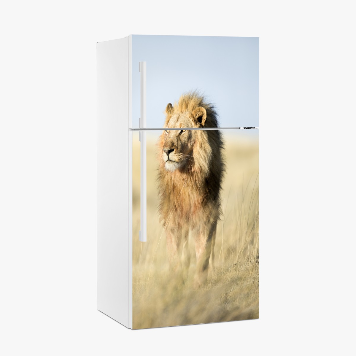 Kühlschrankaufkleber majestätischer löwe in der steppe – Wallnifity®